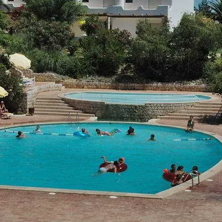 Gaivota * Lagoa (Algarve)